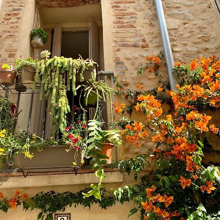 Maison Historique Rue Vermeille Argeles Sur Mer 外观 照片
