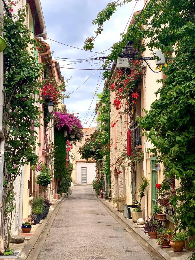 Maison Historique Rue Vermeille Argeles Sur Mer 外观 照片