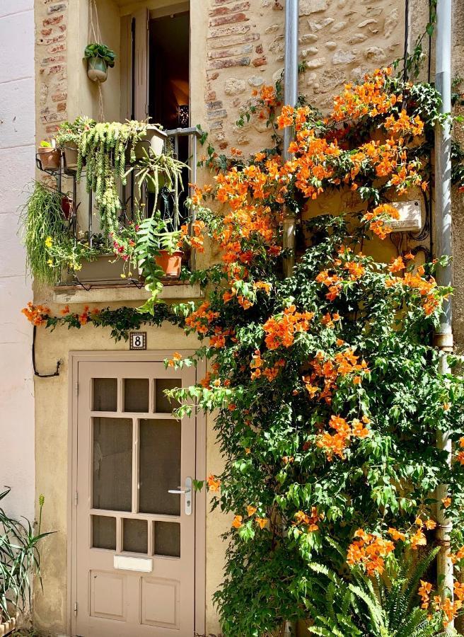 Maison Historique Rue Vermeille Argeles Sur Mer 外观 照片