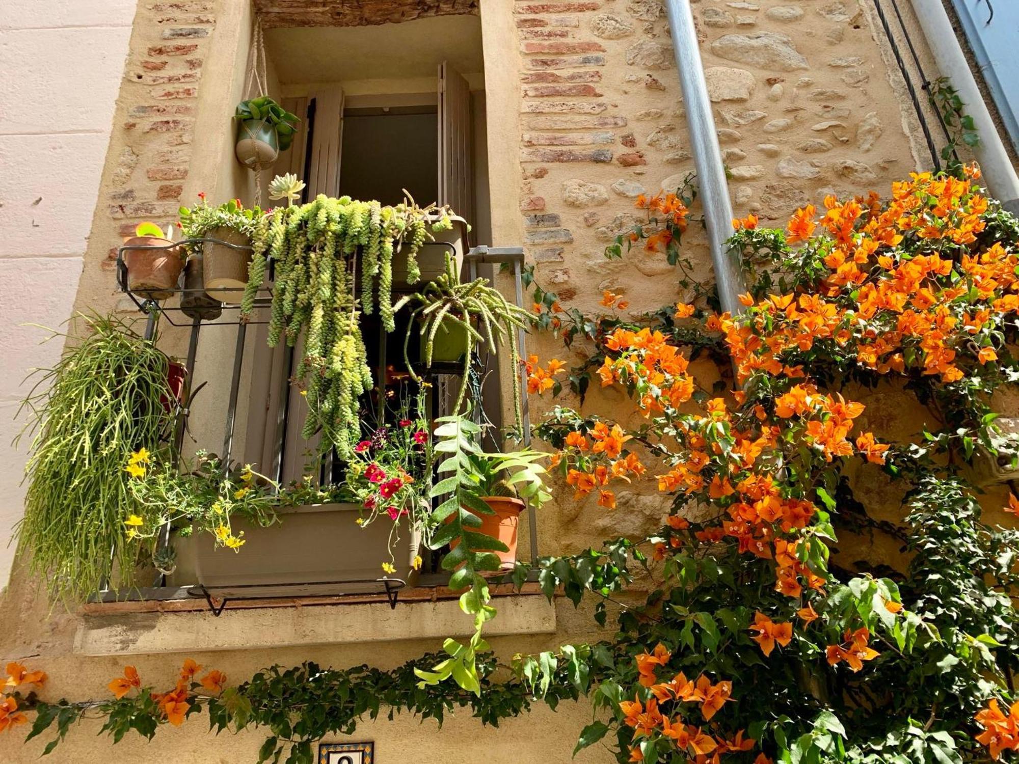Maison Historique Rue Vermeille Argeles Sur Mer 外观 照片