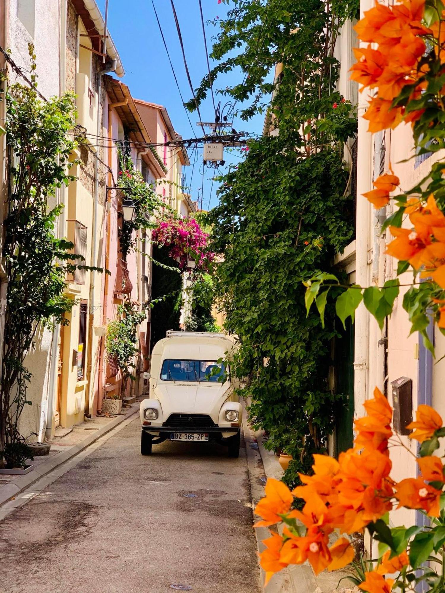 Maison Historique Rue Vermeille Argeles Sur Mer 外观 照片
